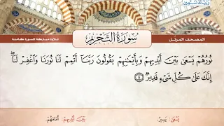 سورة التحريم القارئ الشيخ محمود خليل الحصري رحمه الله  سورة التحريم القارئ الشيخ محمود خليل الحصري رحمه الله