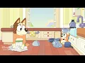 Bluey "Omelette" Full Episode! 💙 | Bingo helps Mum Cook! | @disneyjr