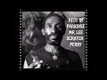 LEE SCRATCH PERRY THE UPSETTER ROOTS REGGAE mx