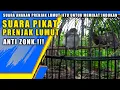 Download Lagu Suara Pikat Prenjak Lumut Paling Ampuh Untuk Memikat Prenjak Lumut Indukan