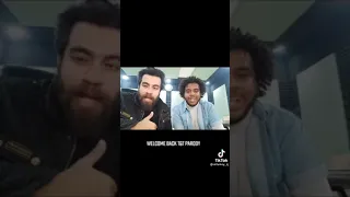 هيغفلوك دندنها
