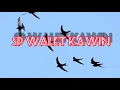 Download Lagu SUARA WALET KAWIN (JERNIH LUAR BIASA) Suara panggil walet