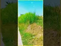 Download Lagu LAGU : SADARILAH ( Meriam Bellina ) Lokasi : Kab.Demak Jateng.