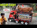 Download Lagu MUATAN SAPI!!! truk dimas muatan sapi beneran kuat gak ya??