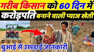 2026 में किसानो को 60 दिन में करोड़पति बनाने वाली प्याज खेती | Pyaj Ki Kheti | Onion Farming | Pyaj