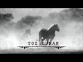Trapist   Toz Duman