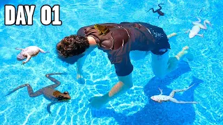 I Built a Pond, and Let it Evolve For 2 Years