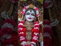 Download Lagu Agar Main Radha Radha Gaon🌹🦚💐🙏 #music #song #love #motivation #radheshyambhajan #shorts