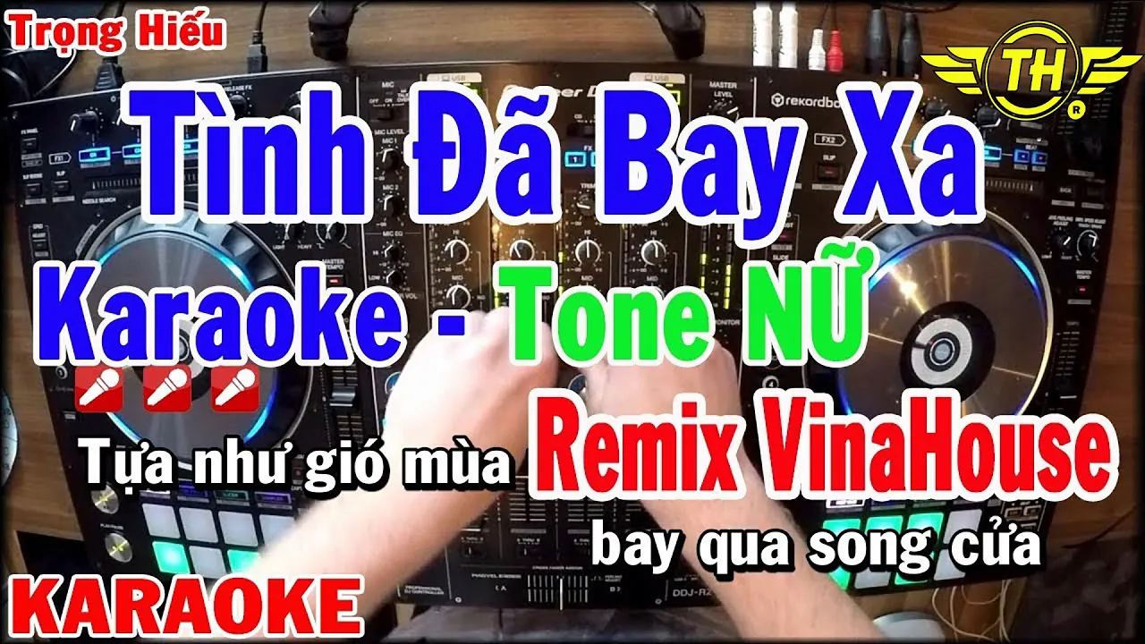 ⚜️❤️❄️☘️tình đã bay xa remix ❄️♦️☘️❤️⚜️Thuy Nguyen ft Lammy T