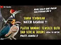 Download Lagu NGERIII..!!!SUARA TEMBAKAN MATERI KASARAN || PLATUK BAWANG, TENGKEK BUTO, DAN GEREJA TARUNG !!