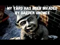 My yard has been invaded by evil garden gnomes - Reddit Stories