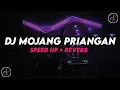 Download Lagu DJ Mojang Priangan 8D - Slowed + Reverb🎧