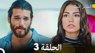 مسلسل الطائر المبكر الحلقة 3 Arabic Dubbed FULL HD  مسلسل الطائر المبكر الحلقة 3 Arabic Dubbed FULL HD