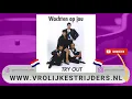 PiratenHits -Try Out - Wachten Op Jou