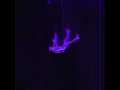 let down by radiohead (slowed&reverb)