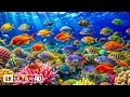 Download Lagu Breath of Silence 8K – A Timeless Drift Beneath the Waves