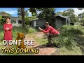 Download Lagu Mowing This Yard Turned Into CHAOS When Dogs Attack