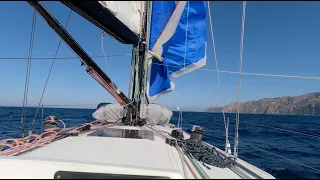Spinnaker Carnage While Sailing to Catalina! #ourladydefiant #sailboat #boat #spinnaker