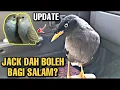Download Lagu Gembala kerbau bercakap / jalak kebo jinak - Jungle myna talking bird ( Budgies / parkit)