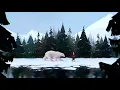 WYS - North Pole