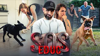 « Tu vas lui dire que sa vie est foutue avec son chien ? 😤 SOS Educ #1 »
