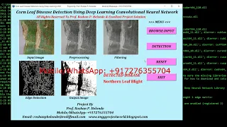 Corn Leaf Disease Classification Using CNN Python Code Corn Plant Disease Identification
