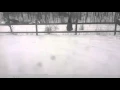 Winter Storm Jonas Time Lapse - Princeton WV