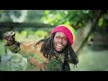 Jesse Royal - Gimmie Likkle / Finally [Official Video 2015]