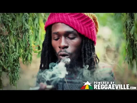 Download MP3 Jesse Royal - Gimmie Likkle / Finally [Official Video 2015]