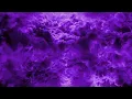 The Neighbourhood - W.D.Y.W.F.M? (Chopped Not Slopped)
