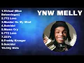 Lagu YNW Melly Full Album ⭐ Beautiful Songs ⭐ Popular Songs