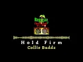 Collie Buddz - Hold Firm | Cali Roots Riddim - Audio Visualizer
