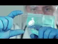 Niner Engineer Megan Ogle shares about her bioengineering program