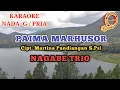 KARAOKE PAIMA MARHUSOR NAGABE TRIO NADA COWOK
