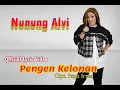NUNUNG ALVI   PENGEN KELONAN Official Lyric Video