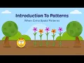 Math Story Introduction To Patterns When Cirha Spots Patterns Bed Time Story Maths