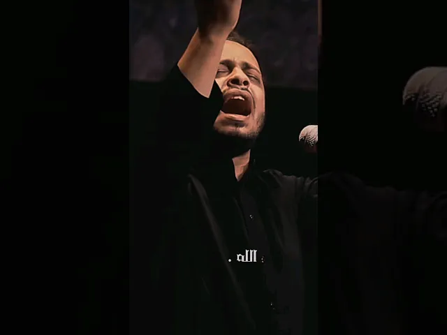⁣ستوريات استشهاد الامام علي حيدر البياتي