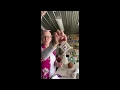 God s Eye Yarn Craft