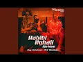Download Lagu Habibi Ilghali (Guy Scheiman Tlv Radio Edit)