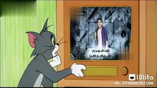 شغلانى مش هقولك تانى  شغلانى مش هقولك تانى