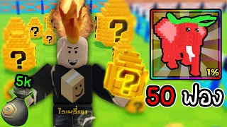 ผมเปิดไข่ 50 ฟอง!! ตามหาช้างสตรอว์เบอร์รี 1% 🐘🍓| Roblox Steal An Egg