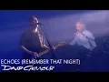 Download Lagu David Gilmour - Echoes (Remember That Night)