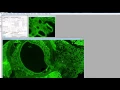 VisiView App Scan Slide