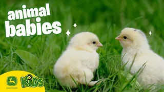 the cutest baby animals on the farm john deere kids