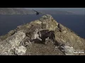Two Harbors Eagle Cam Champion explore org