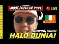 Download Lagu HALO DUNIA! LAGU POPULAR 2024 (30 MINUTES)