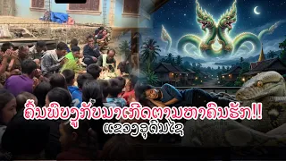 ຕະລືງ! ເລື່ອງລາວ ''ງູກັບຊາດມາເກີດເພື່ອຕາມຫາຄົນຮັກ'' ເມືອງປາກແບງ ແຂວງອູດົມໄຊ