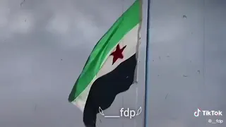 علم الأخضر سوريا جيش الساروت الوصف مهم دندنها