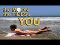 Plan your activities by the moon phases to be more productive LUNAR EFFECT EXPLAINED
