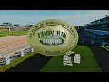 Tampa Bay Downs Live Stream